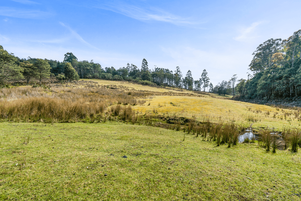 108 New Country Marsh Road, LEVENDALE, TAS 7120