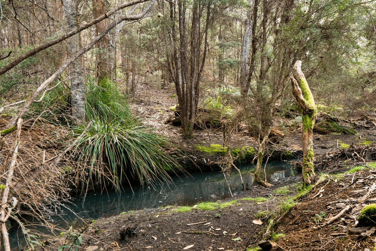 108 New Country Marsh Road, LEVENDALE, TAS 7120