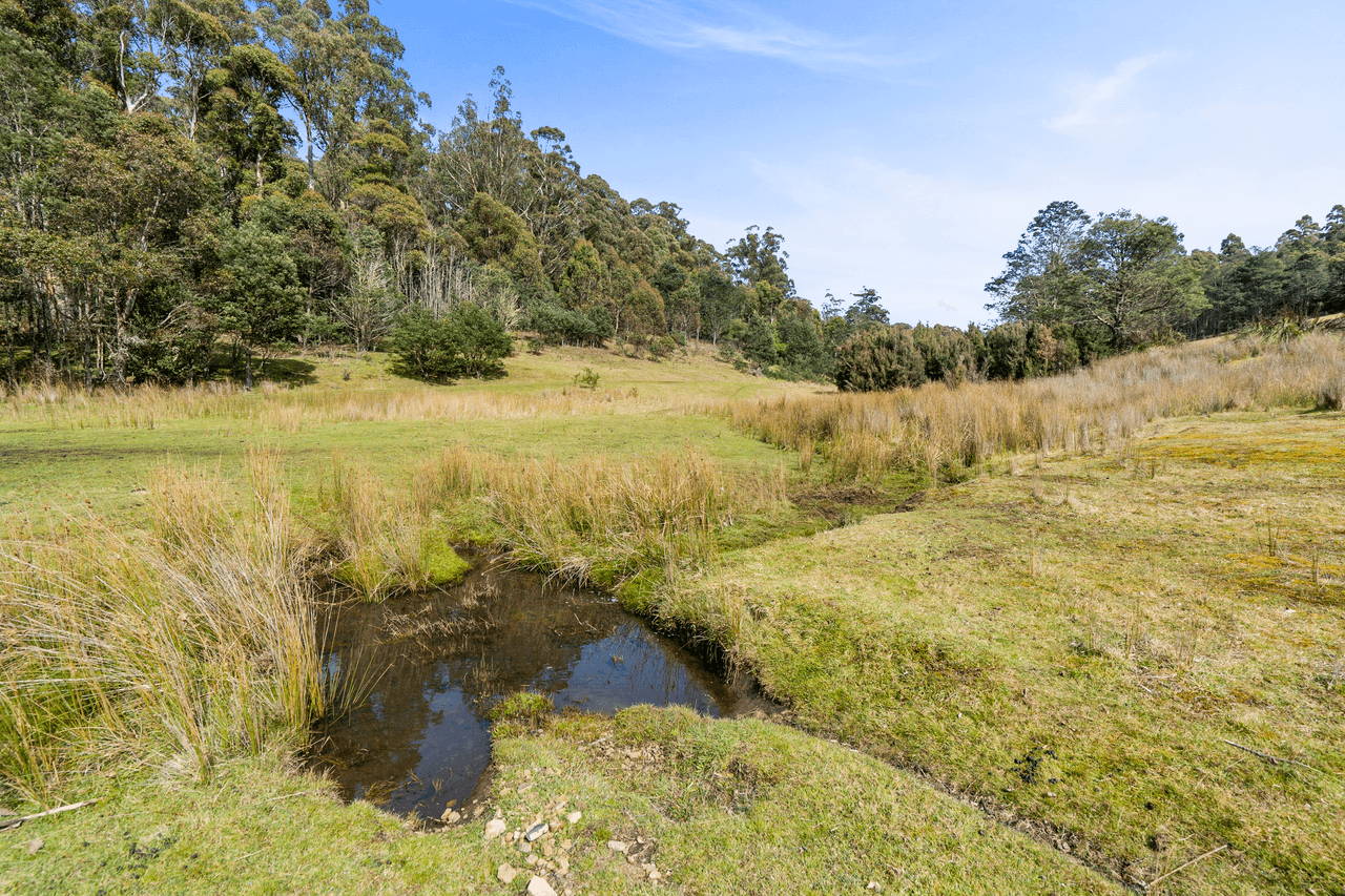 108 New Country Marsh Road, LEVENDALE, TAS 7120