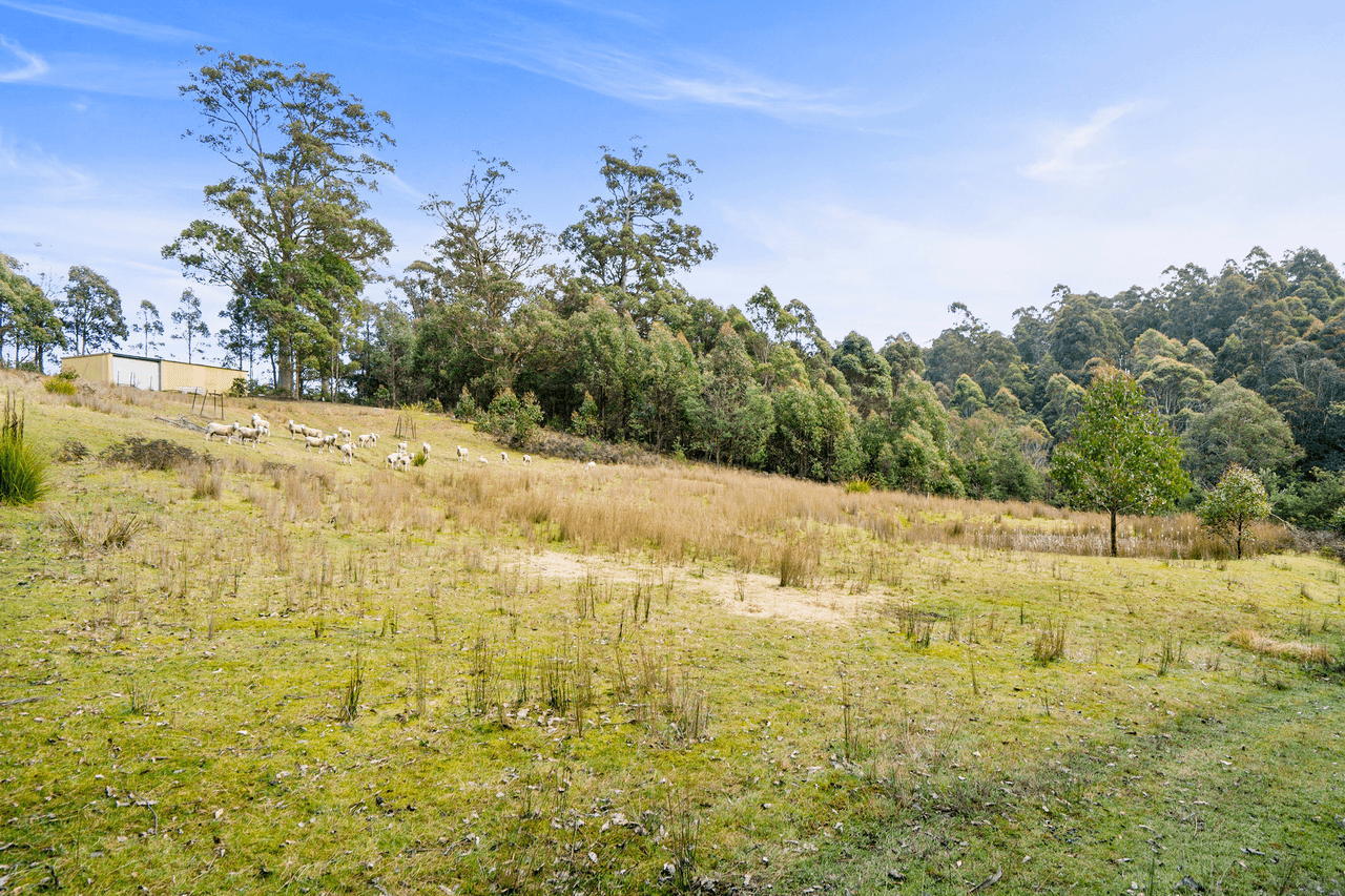 108 New Country Marsh Road, LEVENDALE, TAS 7120