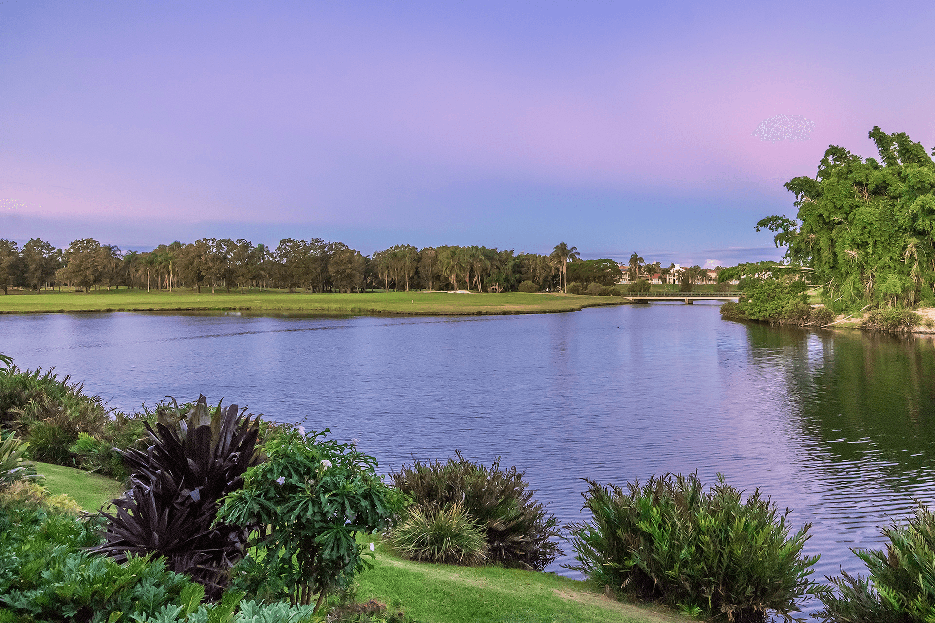 31/117 Palm Meadows Drive, Carrara, QLD 4211