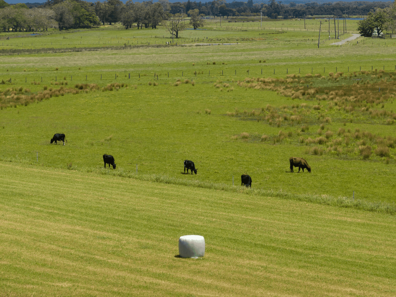 Lot 1 Comerong Island Road, COMERONG ISLAND, NSW 2540