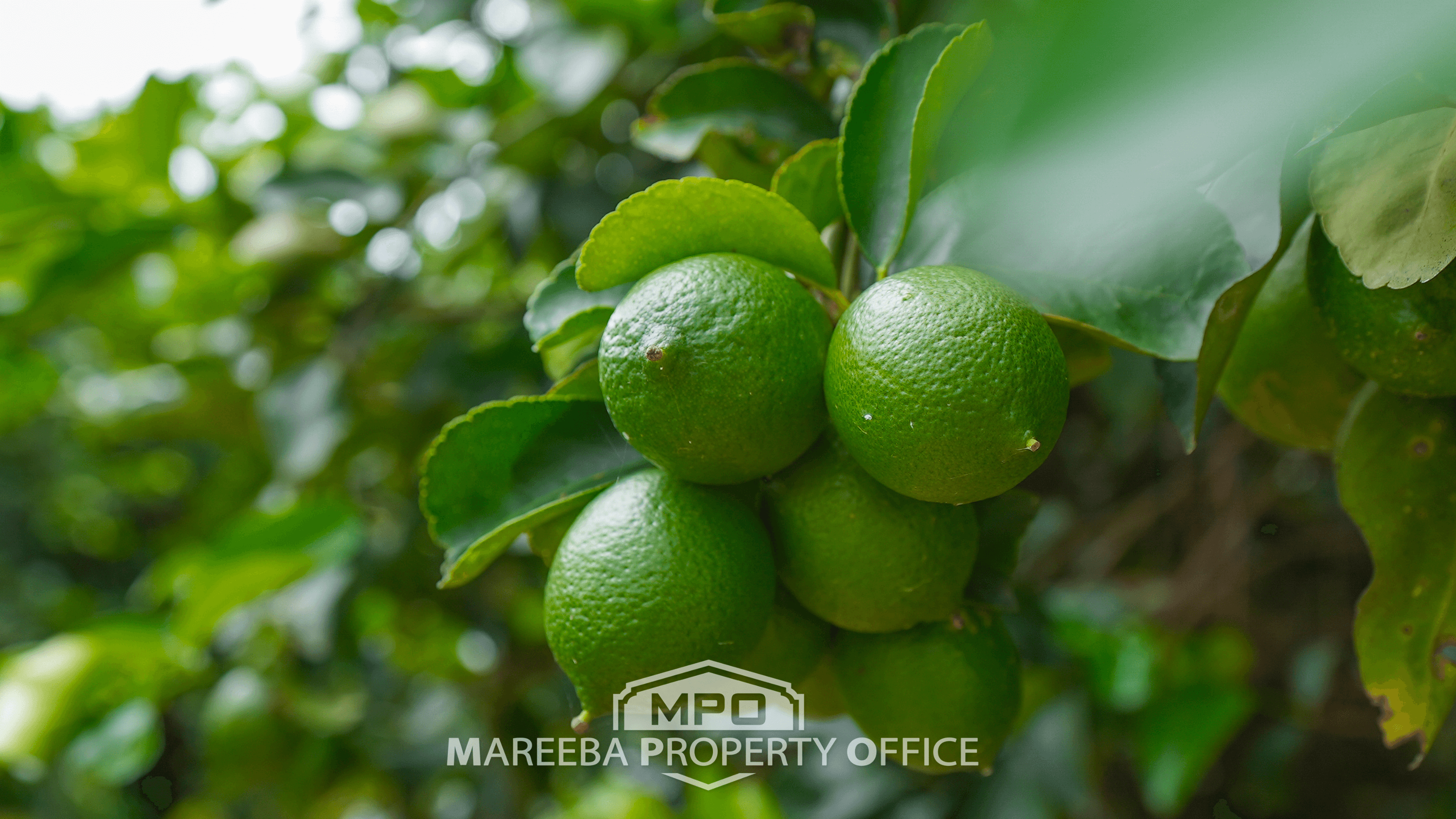 4283 Kennedy Highway, MAREEBA, QLD 4880