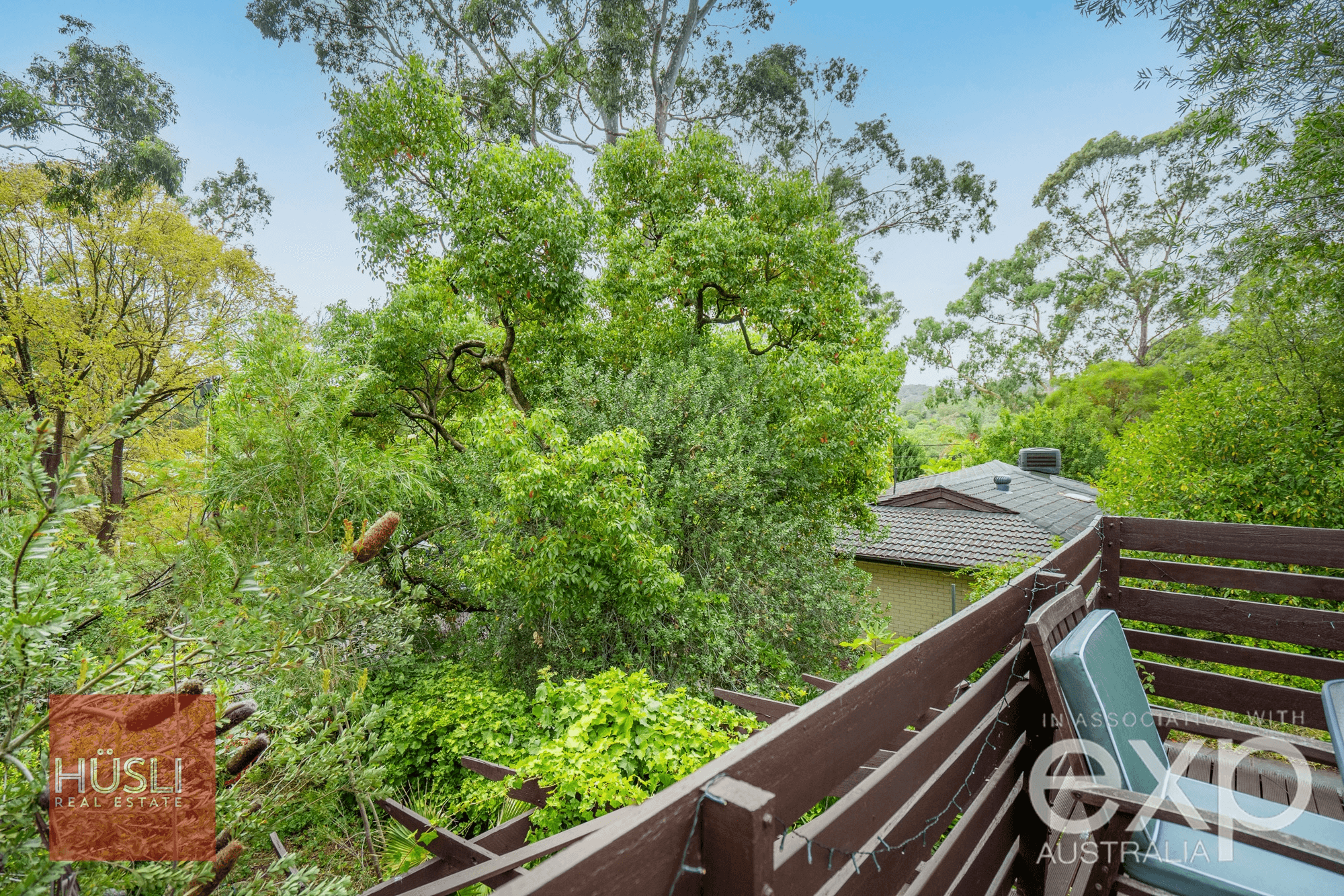 1 Jane Court, Blackwood, SA 5051