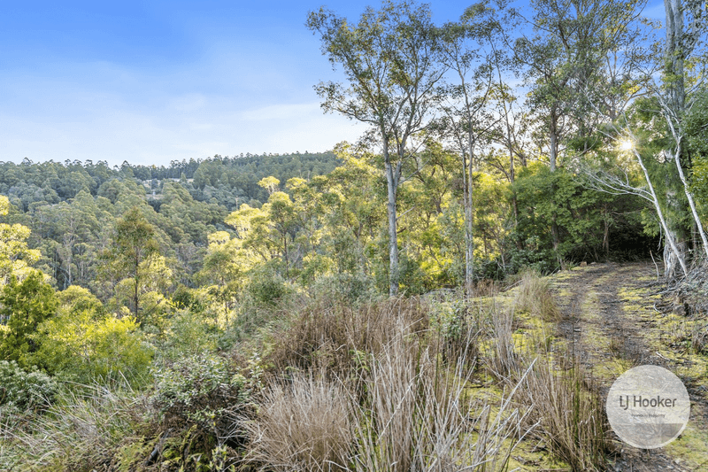 LOT 1 Sproules Road, SNUG, TAS 7054