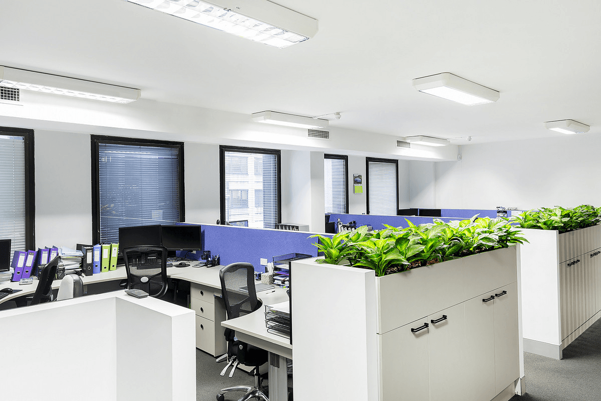 Level 2/276 Pitt Street, Sydney, NSW 2000