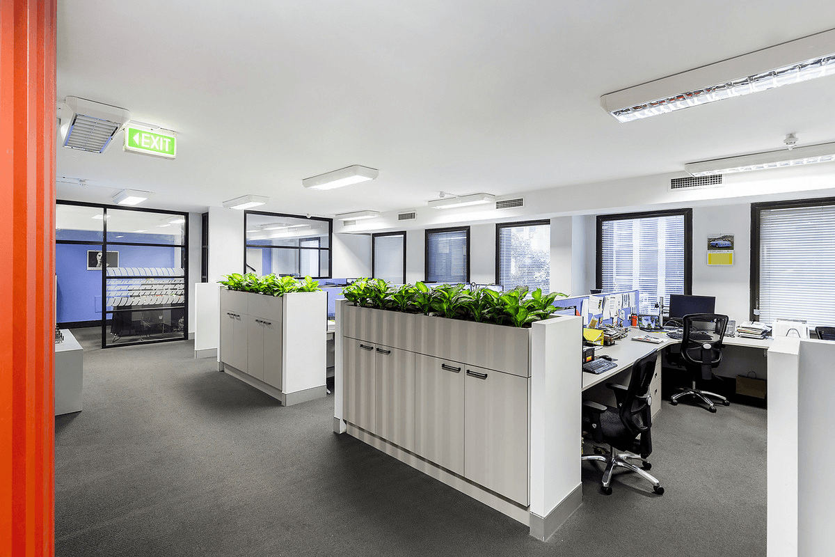 Level 2/276 Pitt Street, Sydney, NSW 2000