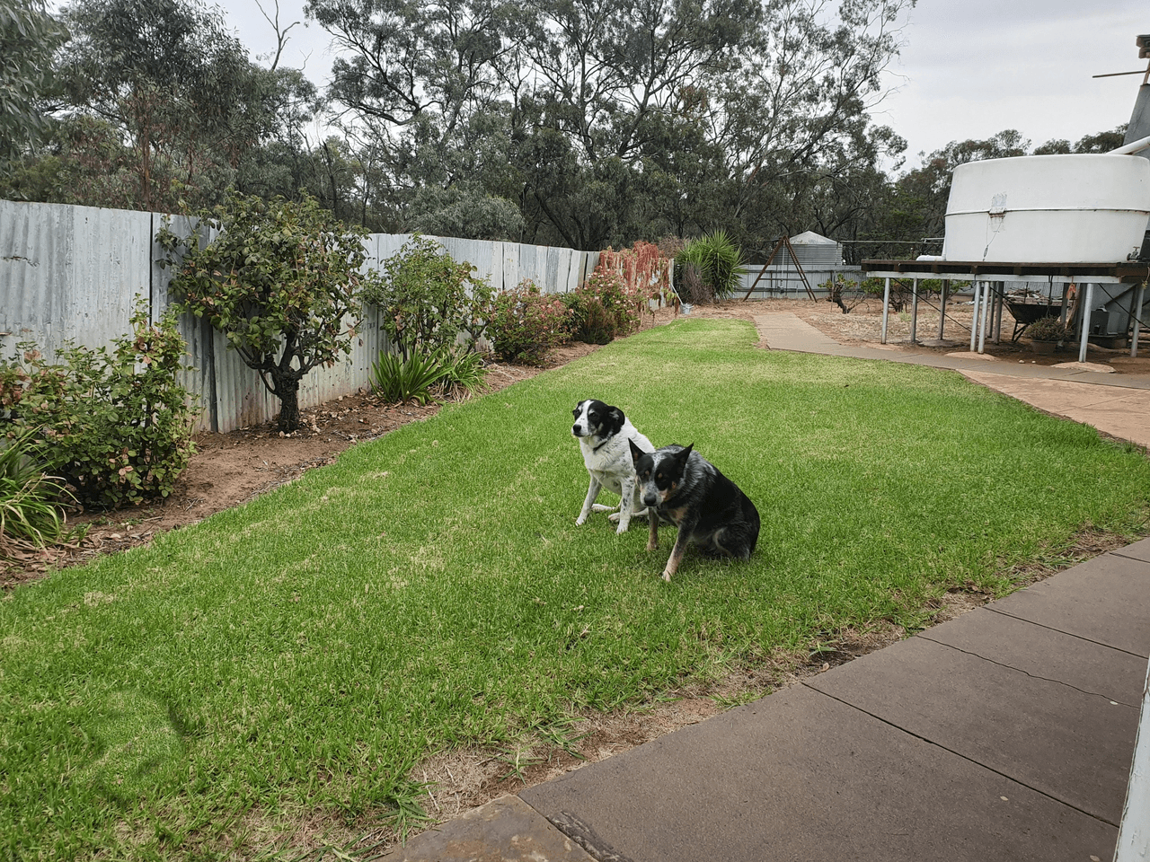 21  Cecil Street, CULGOA, VIC 3530