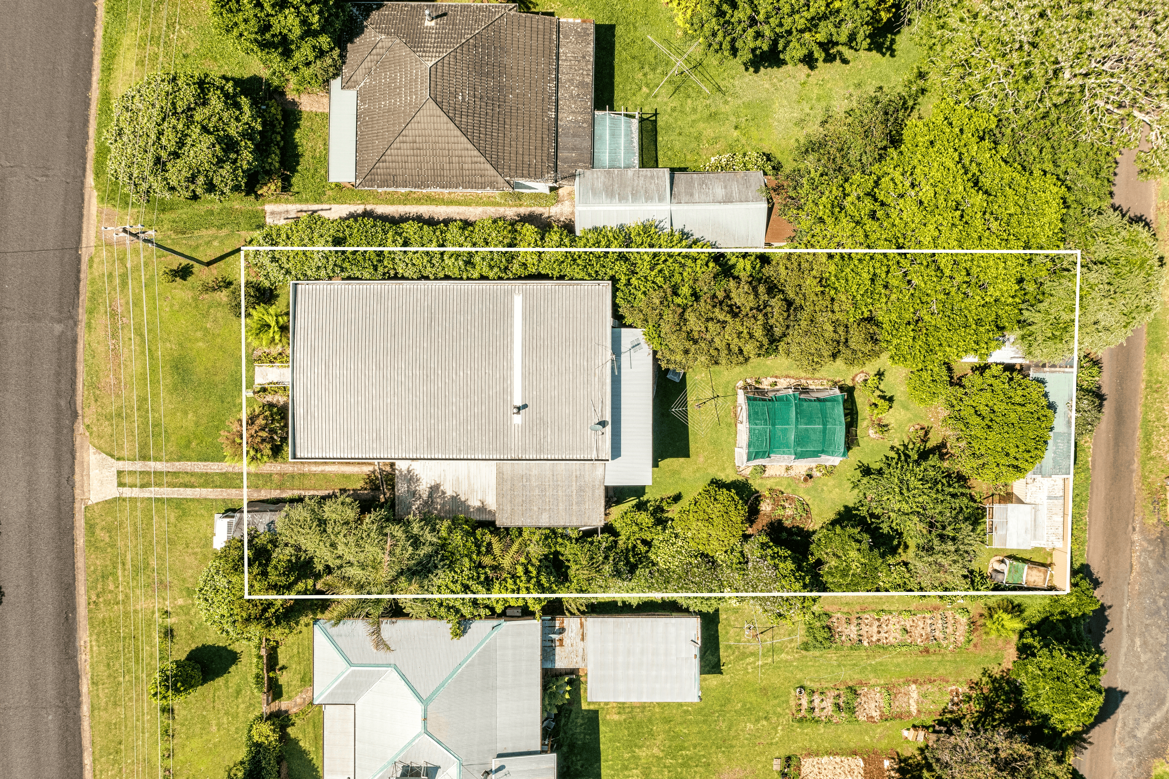 31 Myrtle Street, Dorrigo, NSW 2453