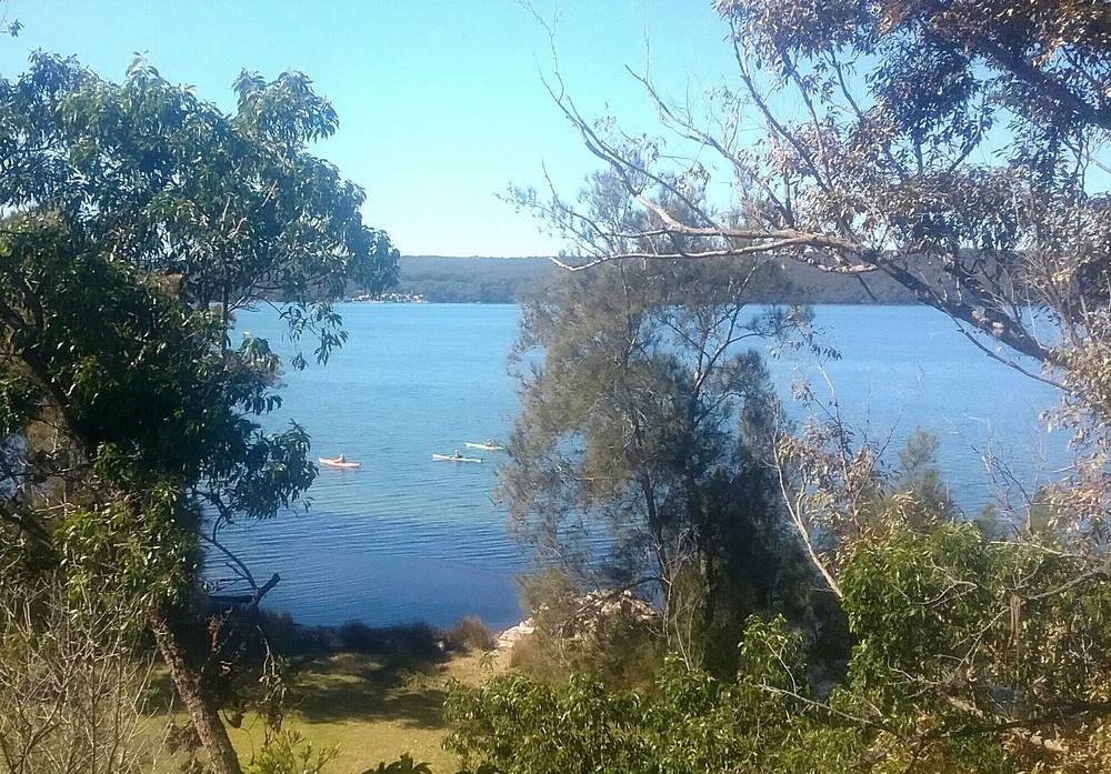 272 Greville Ave, SANCTUARY POINT, NSW 2540