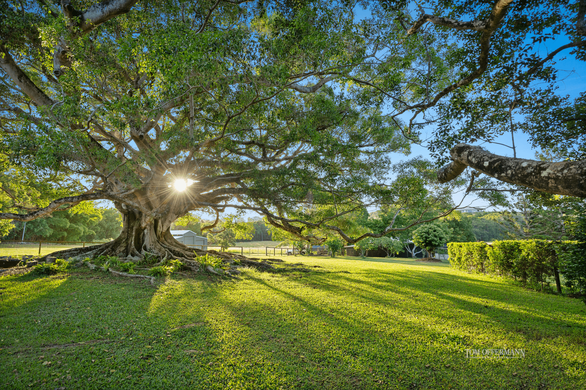 405 Cooroy Mountain Road, Cooroy Mountain, QLD 4563