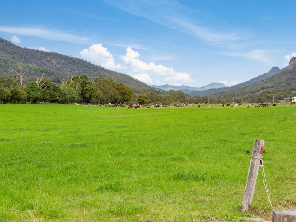 Tyalgum Road, MURWILLUMBAH, NSW 2484