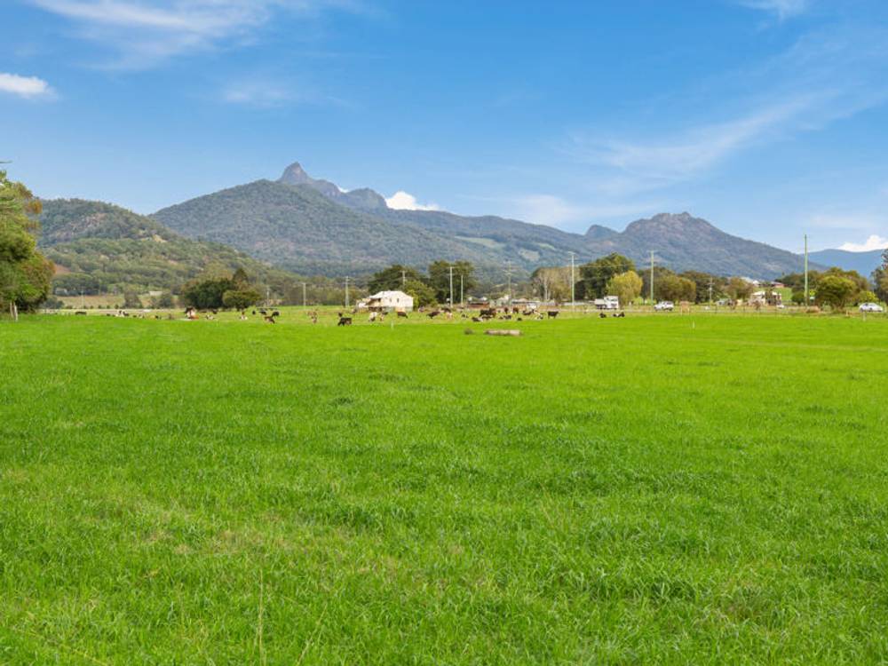 Tyalgum Road, MURWILLUMBAH, NSW 2484