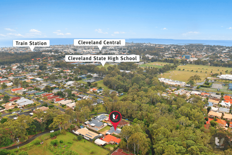 223 Princess Street, Cleveland, QLD 4163