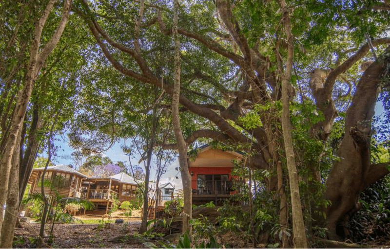 943 Maleny - Montville Road, BALMORAL RIDGE, QLD 4552