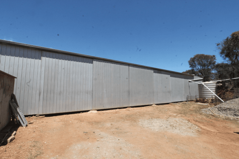 291 Mangalo Road, CLEVE, SA 5640