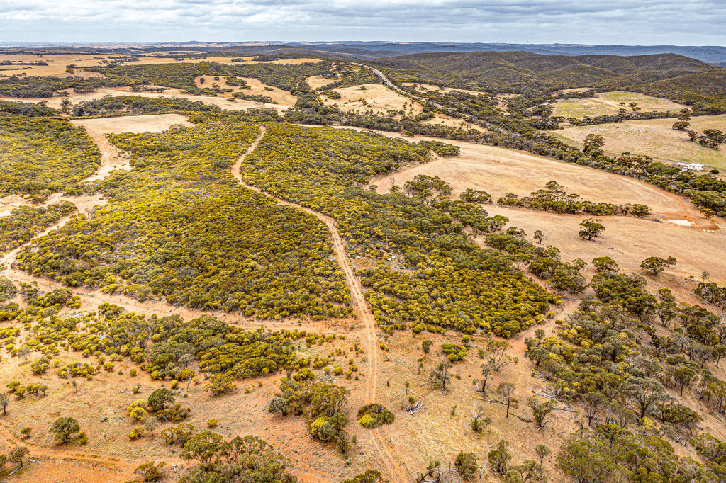 291 Mangalo Road, CLEVE, SA 5640