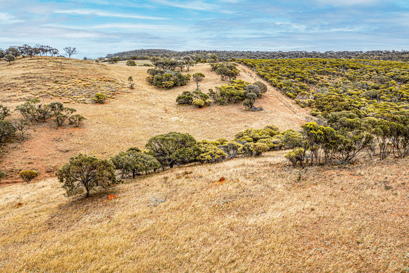 291 Mangalo Road, CLEVE, SA 5640