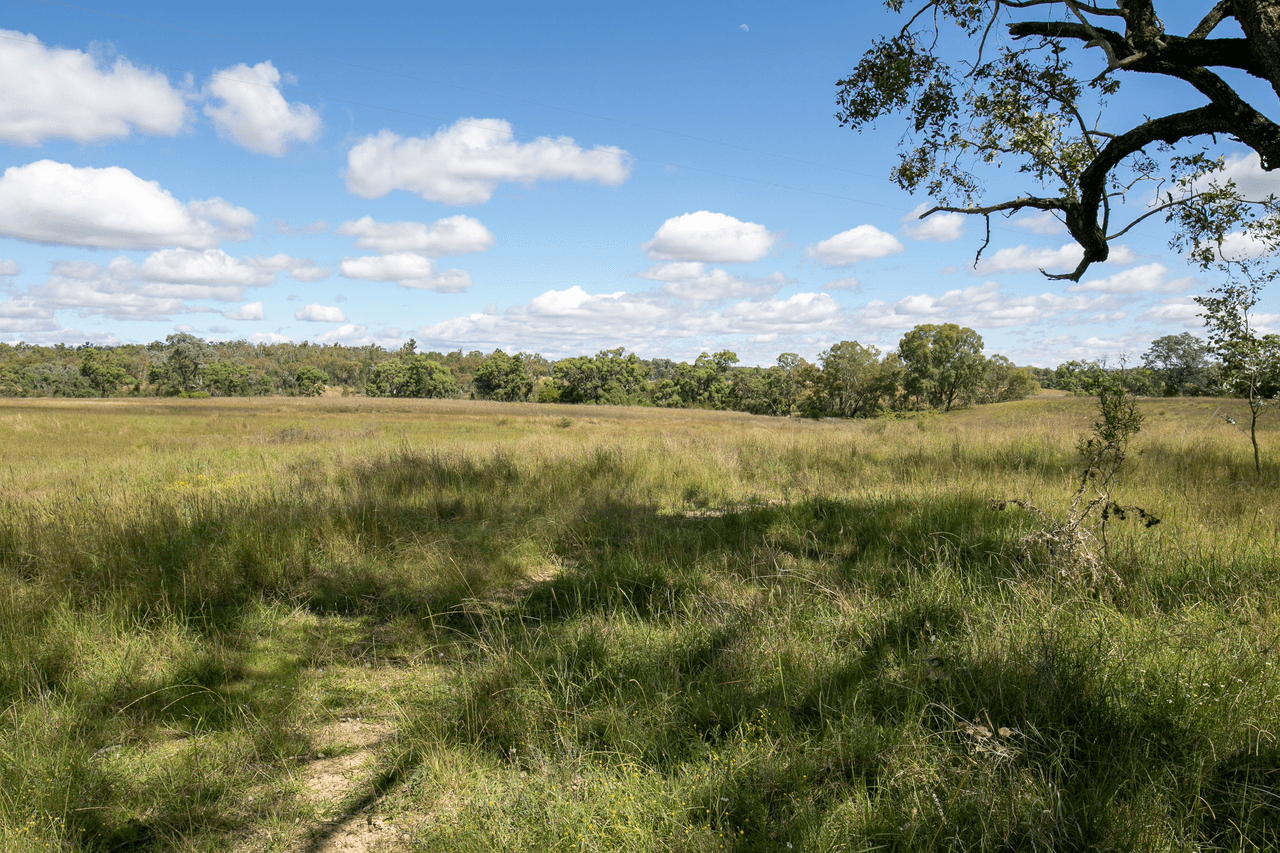 3209 Gragin Road, WARIALDA, NSW 2402