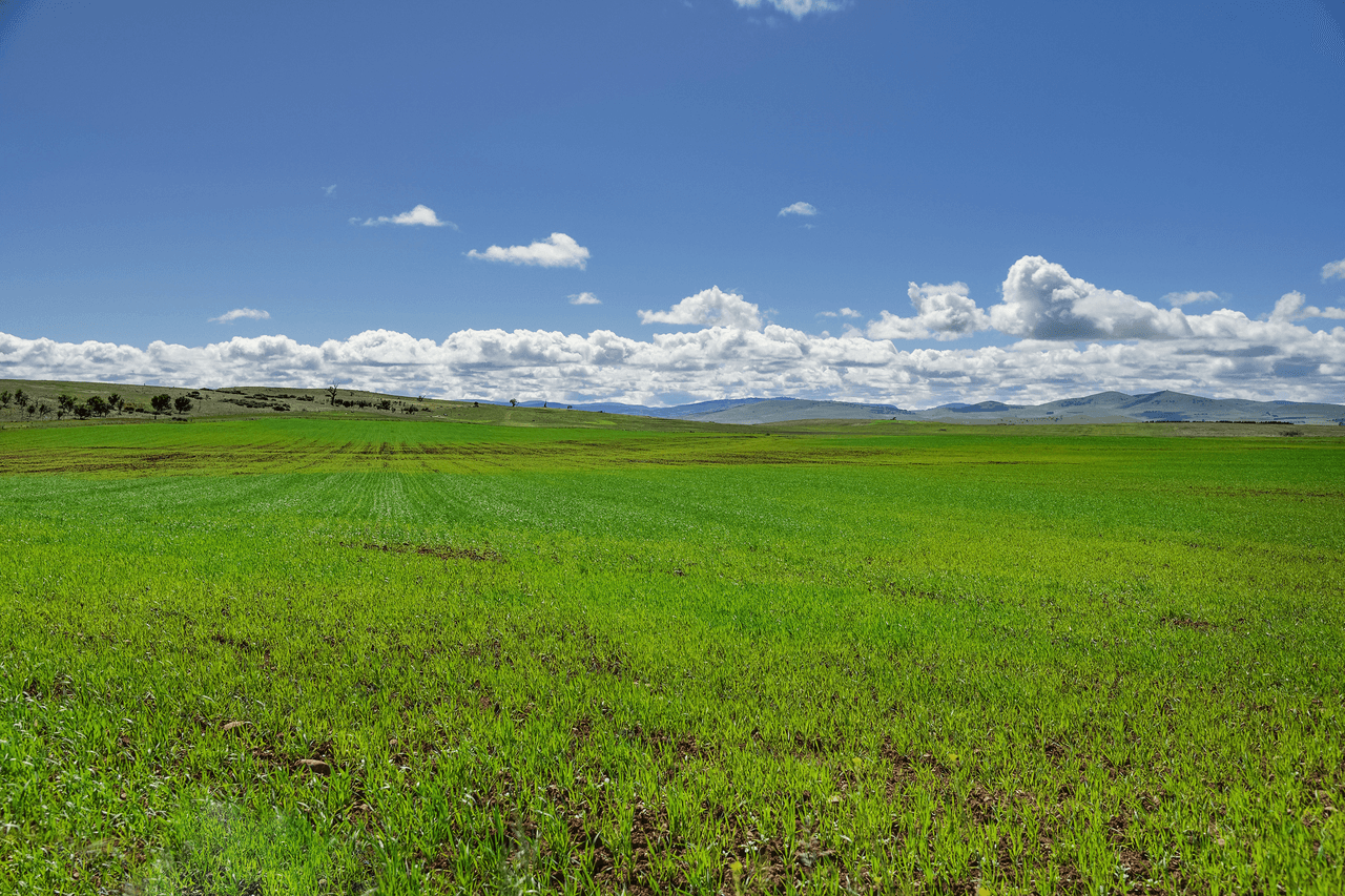 "Little Plains" Little Plains Road, WOODBURY, TAS 7120