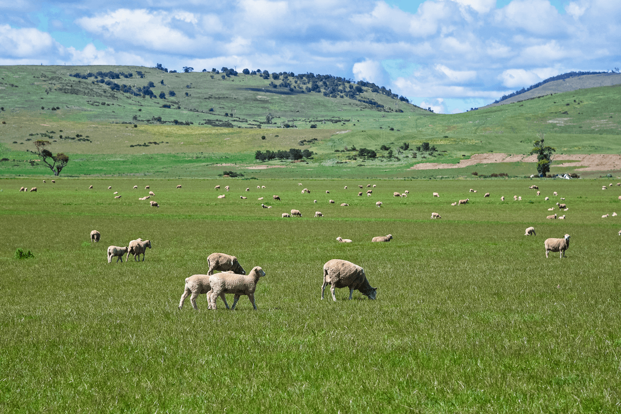 "Little Plains" Little Plains Road, WOODBURY, TAS 7120