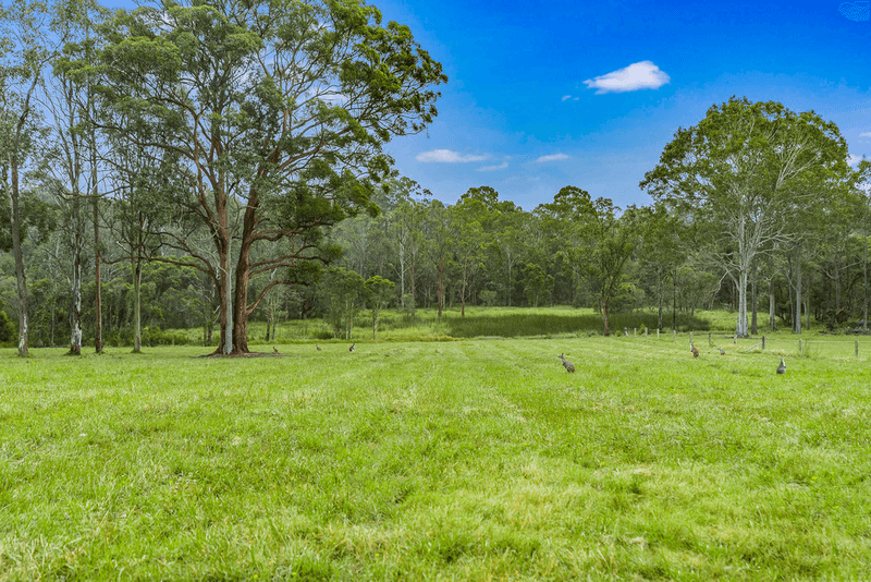 68 Browns Road, MANDALONG, NSW 2264