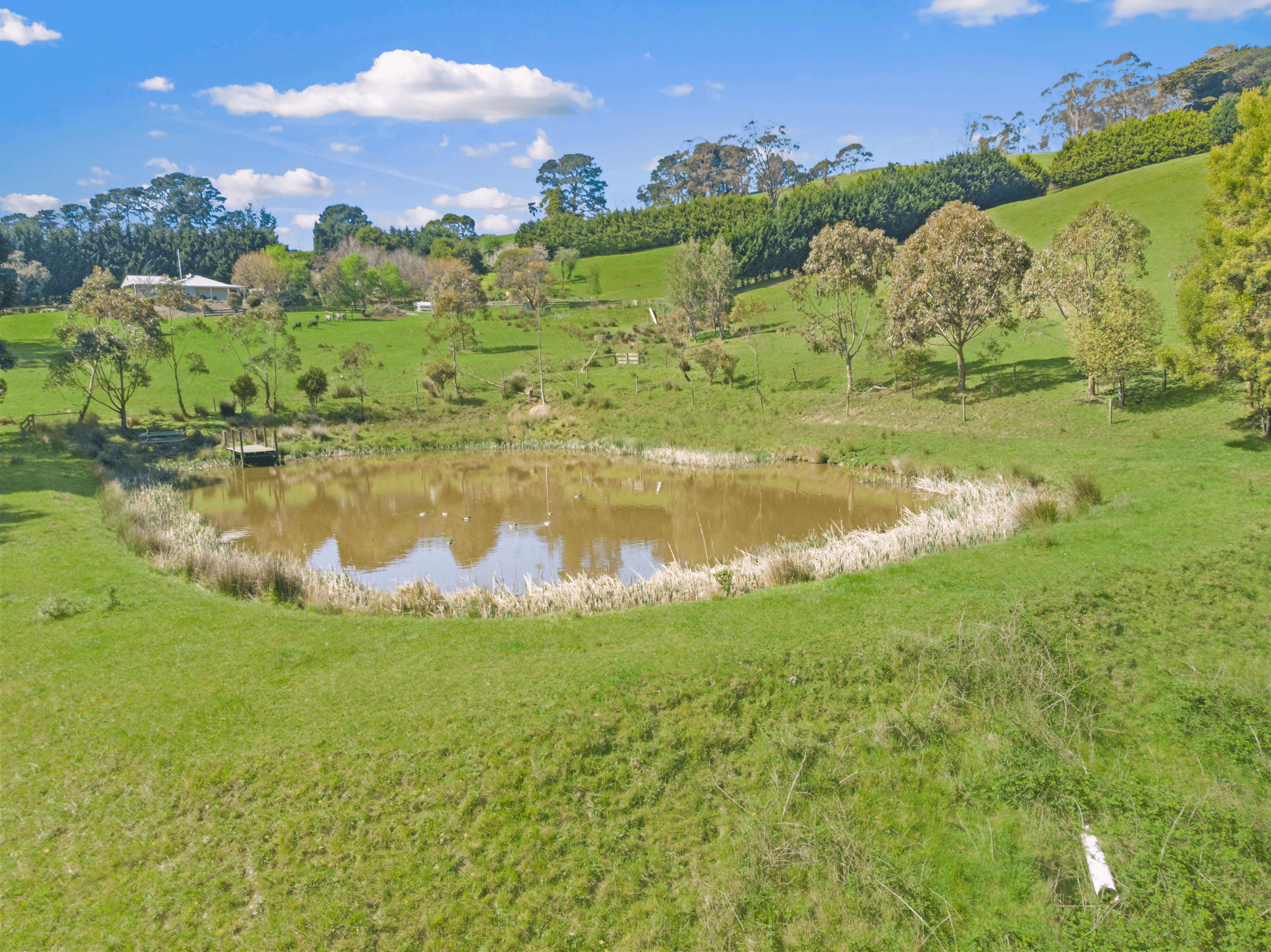 15 Gallagher Lane, YARRAGON, VIC 3823