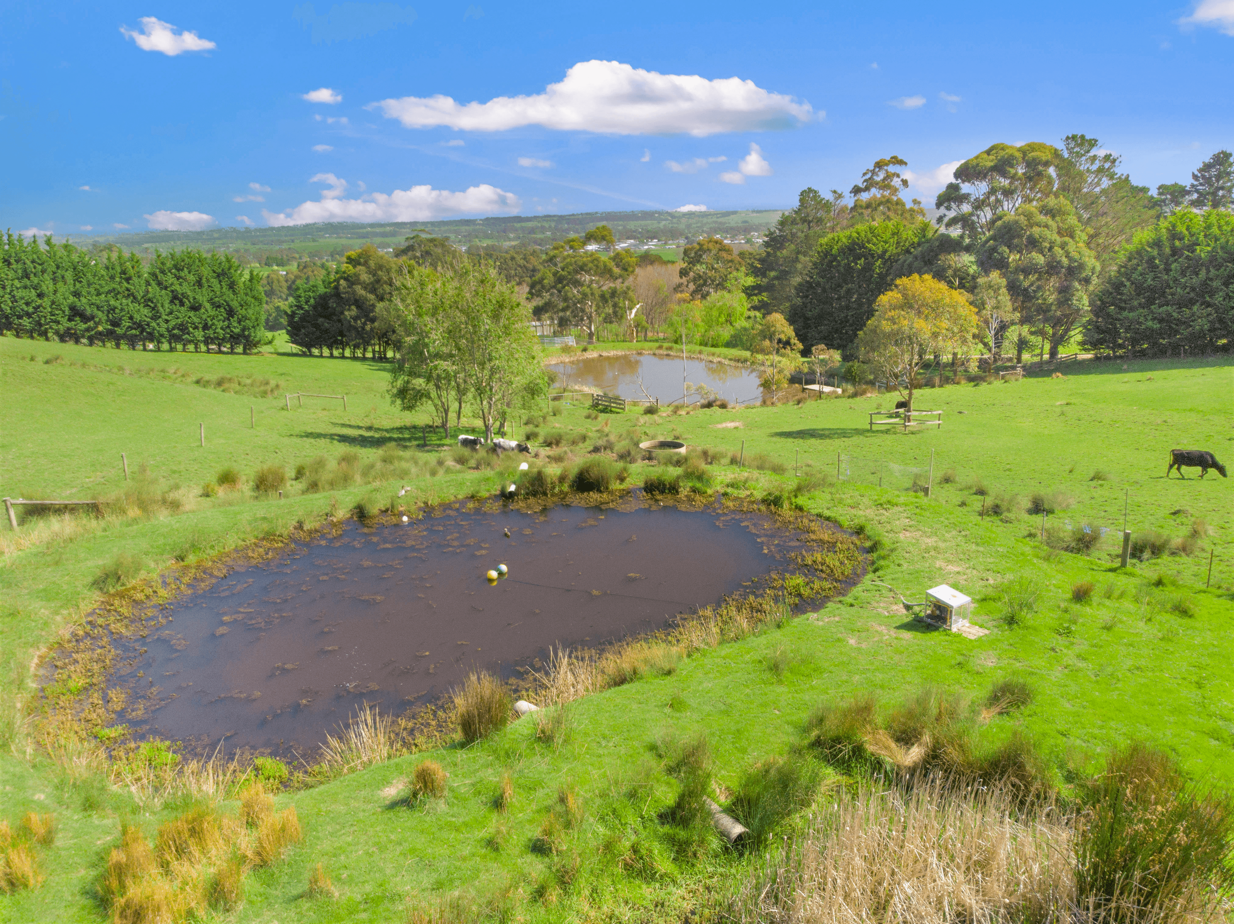 15 Gallagher Lane, YARRAGON, VIC 3823