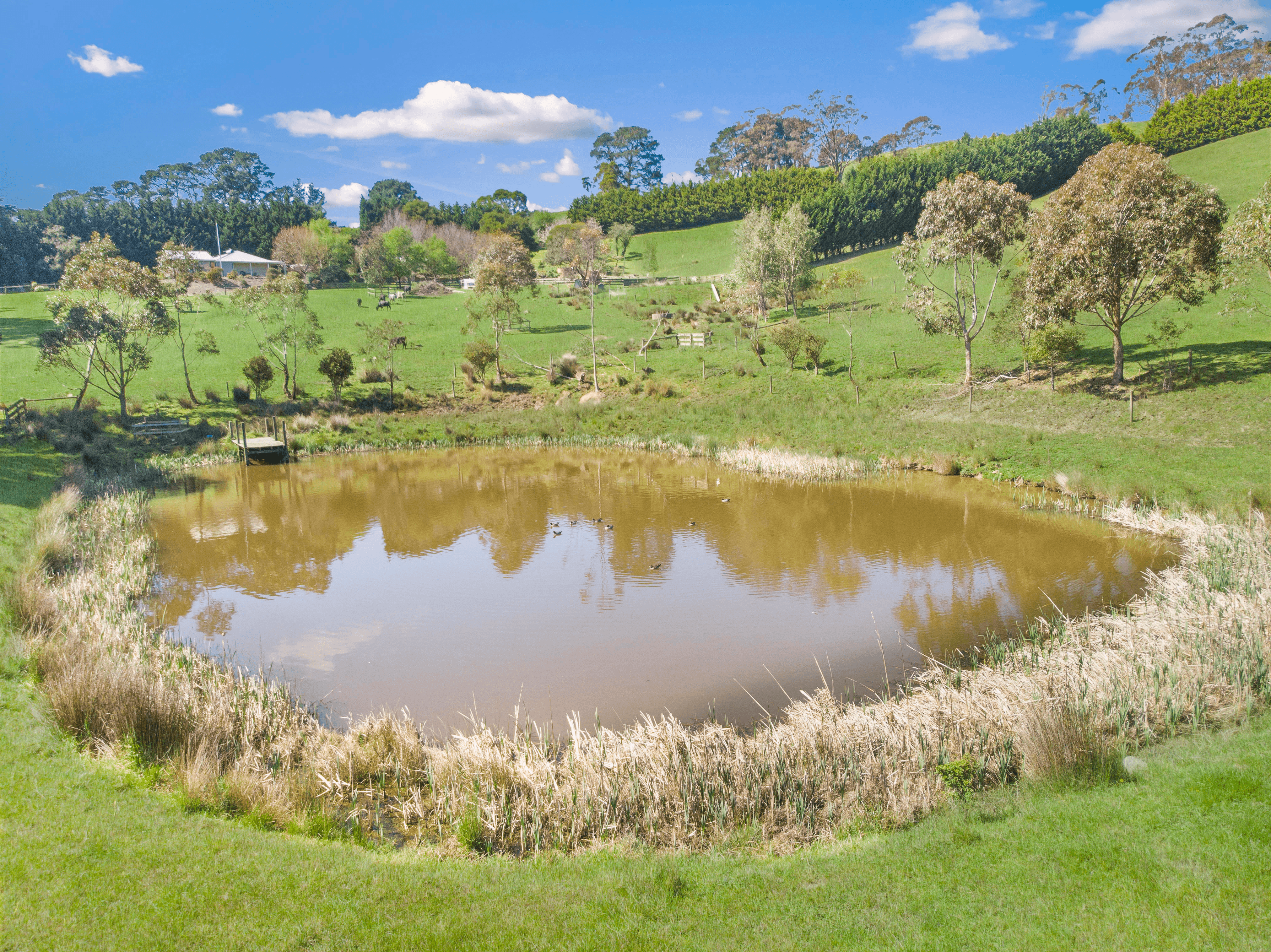 15 Gallagher Lane, YARRAGON, VIC 3823