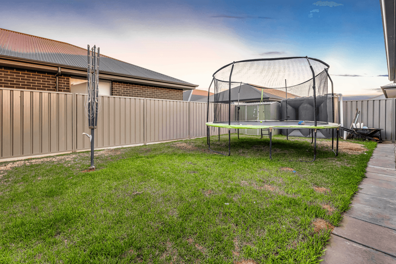 3 Kathleen Crescent, VIRGINIA, SA 5120