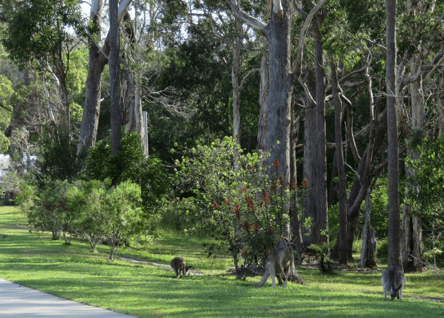 120 WATTLEGROVE TERRACE, VALLA BEACH, NSW 2448