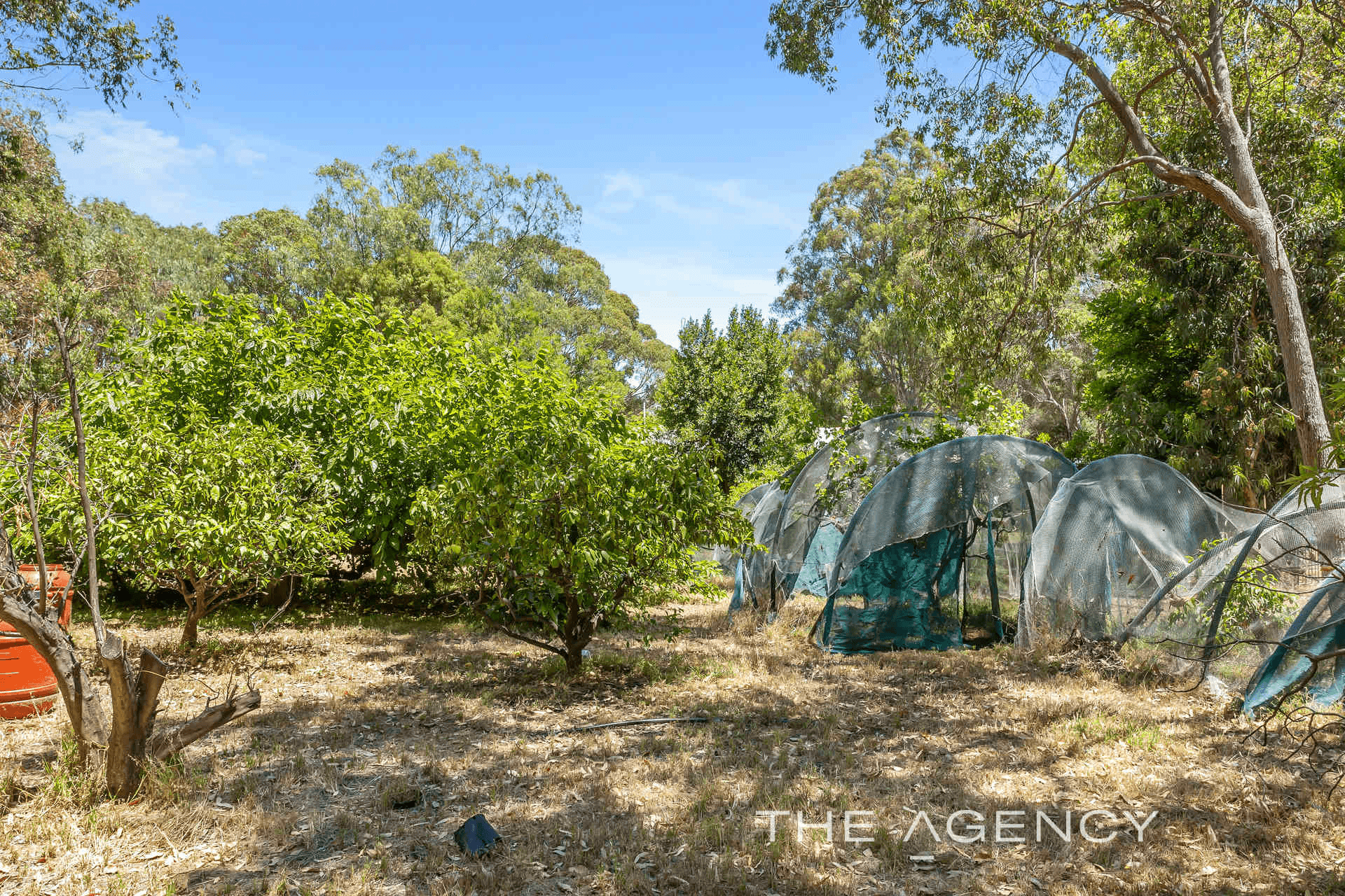 204 Dryandra Road, Morangup, WA 6083