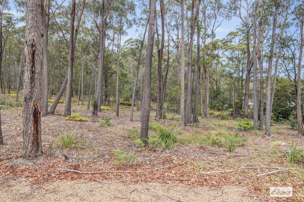 83 Bournda Park Way, Wallagoot, NSW 2550
