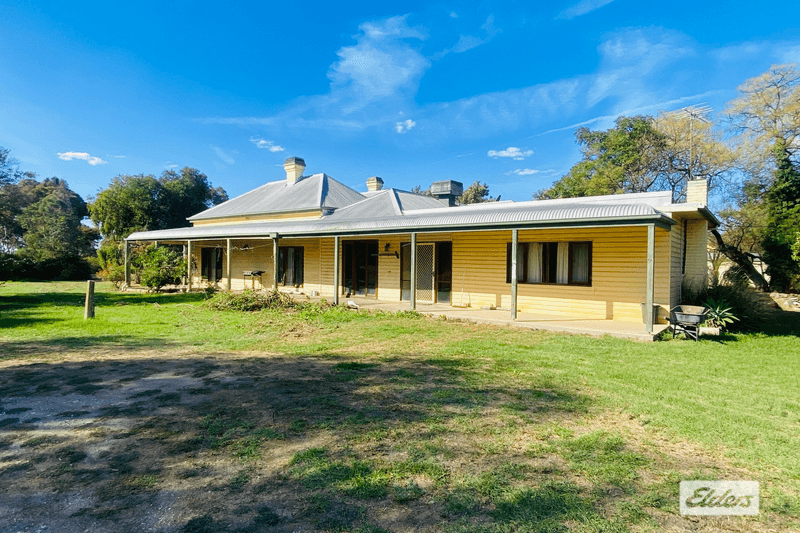 167 Buraja Road, Lowesdale, NSW 2646