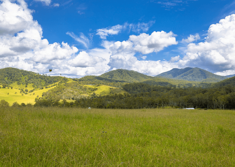 2053 Nowendoc Road, MOUNT GEORGE, NSW 2424