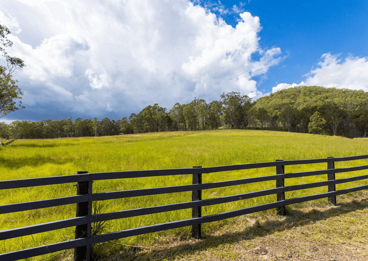 2053 Nowendoc Road, MOUNT GEORGE, NSW 2424