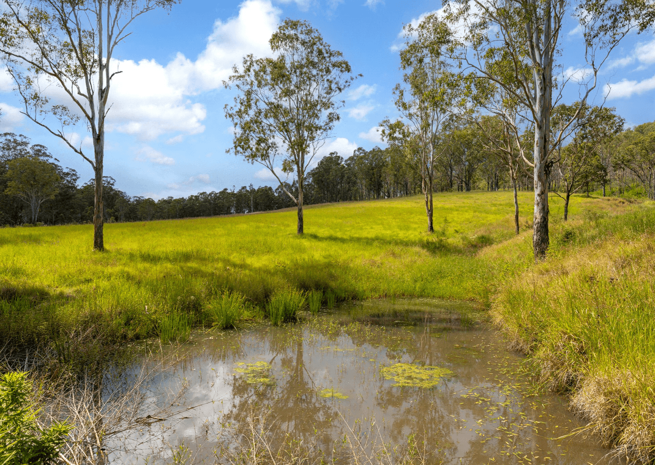 2053 Nowendoc Road, MOUNT GEORGE, NSW 2424