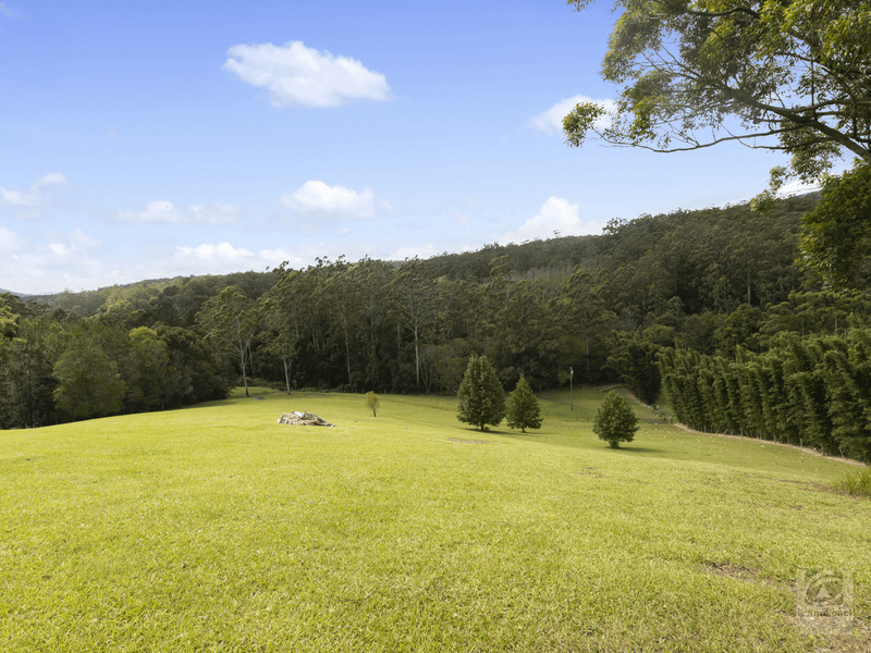 41 Mount Burrell Road, Mount Burrell, NSW 2484