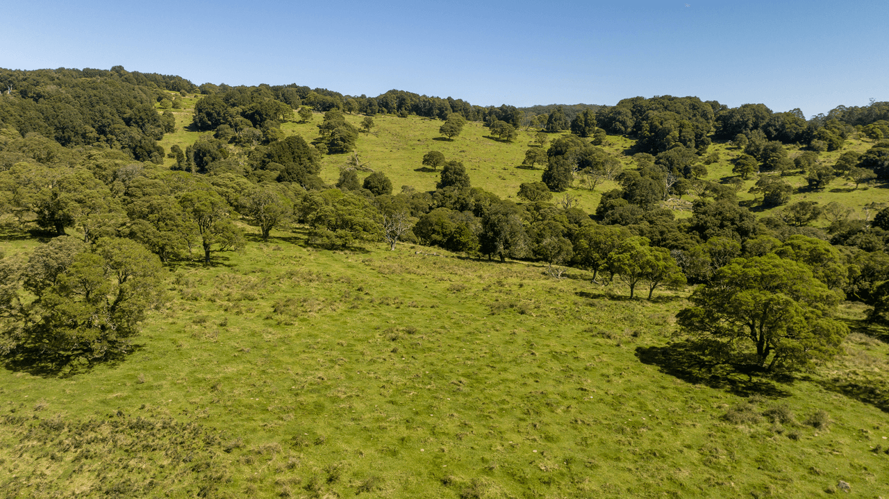 1 Redlands Road, HERNANI, NSW 2453