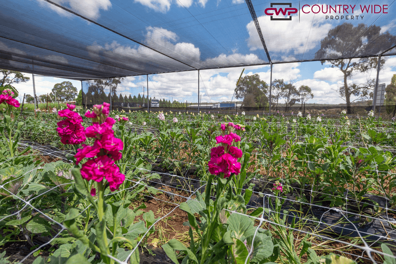 9922 New England Highway, GLEN INNES, NSW 2370