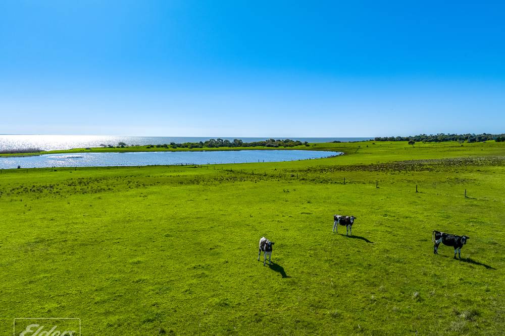 100 & 101 Point Sturt Road, Clayton Bay, SA 5256