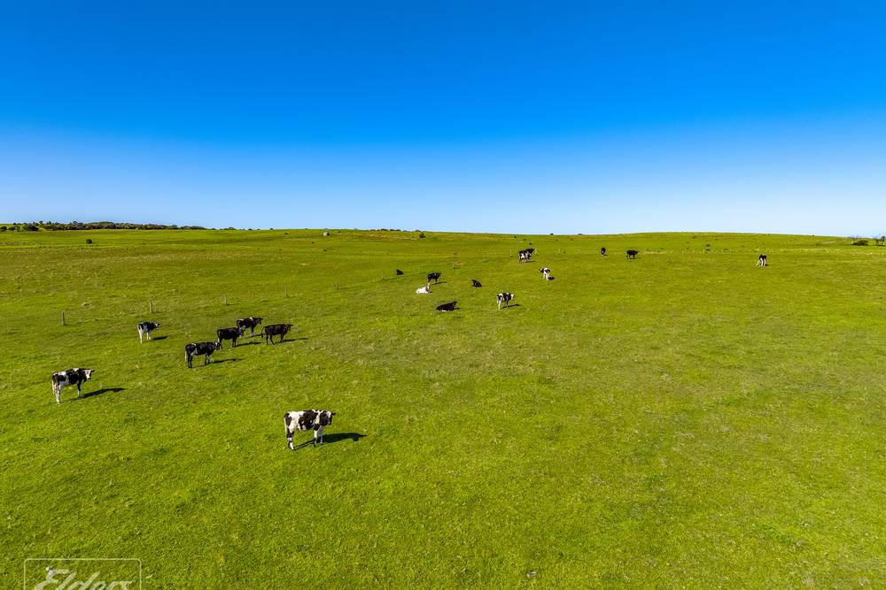 100 & 101 Point Sturt Road, Clayton Bay, SA 5256