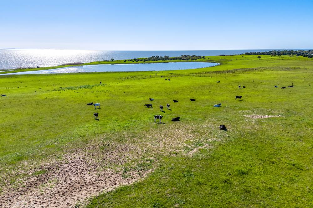 100 & 101 Point Sturt Road, Clayton Bay, SA 5256