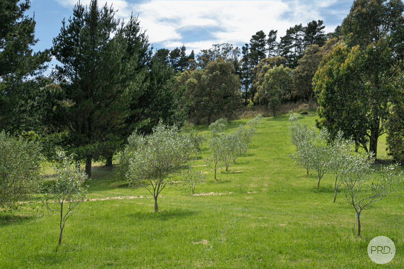 14 Carney Street West, MOUNT EGERTON, VIC 3352