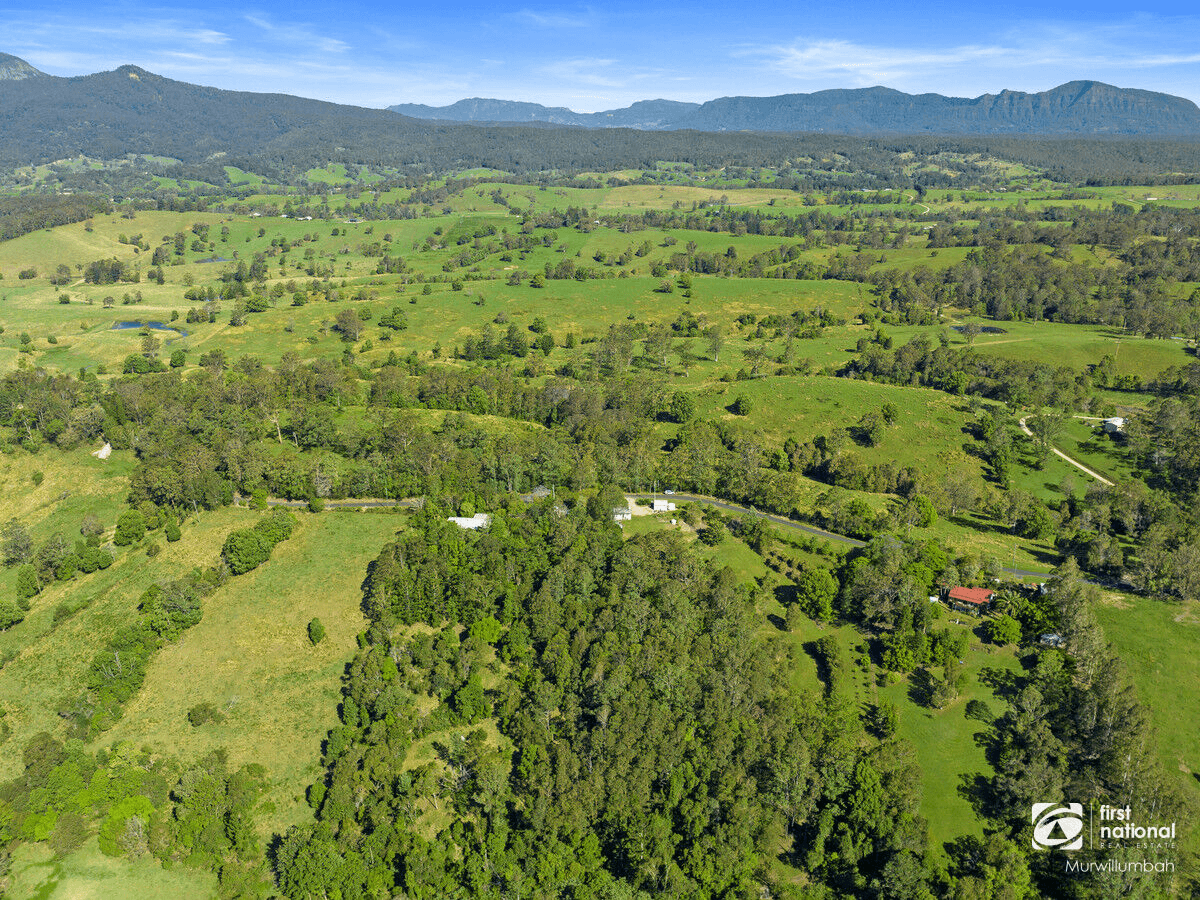 396 Pinnacle Road, Pumpenbil, NSW 2484