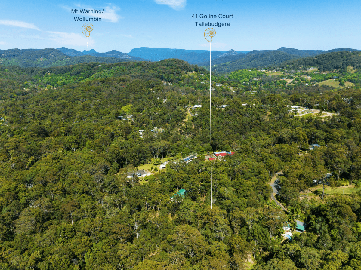 41 Goline Court, Tallebudgera, QLD 4228