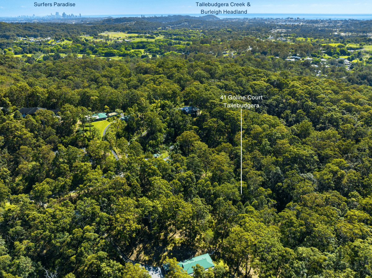 41 Goline Court, Tallebudgera, QLD 4228