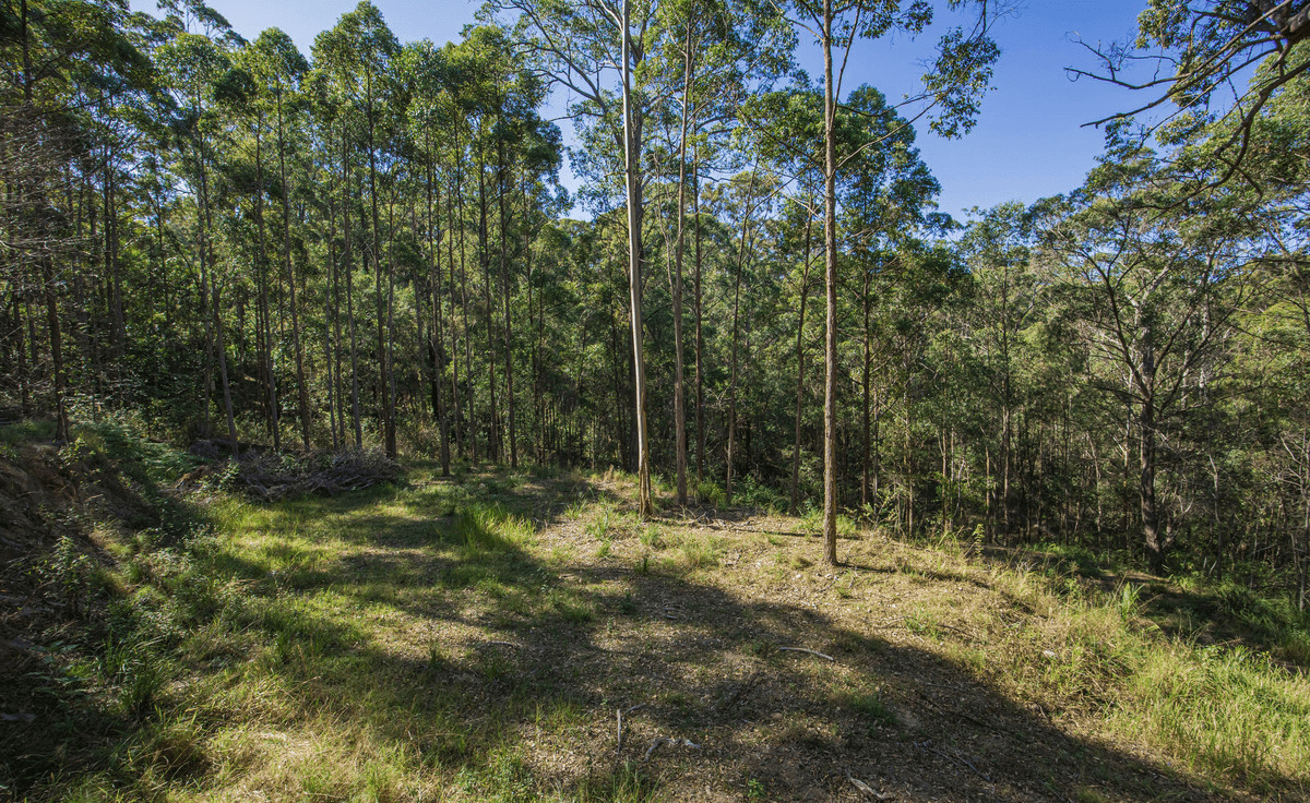 41 Goline Court, Tallebudgera, QLD 4228