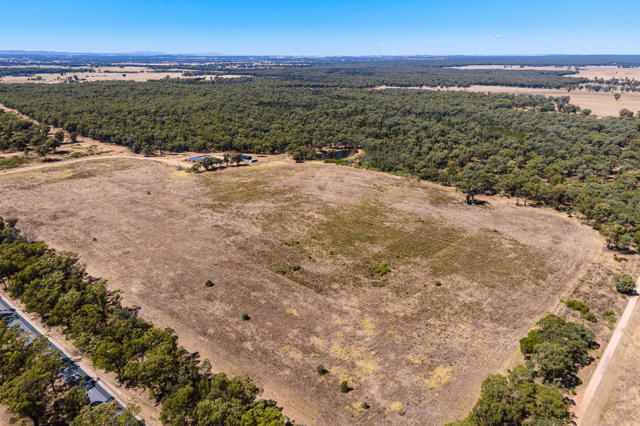 915 Thanowring Road, TEMORA, NSW 2666