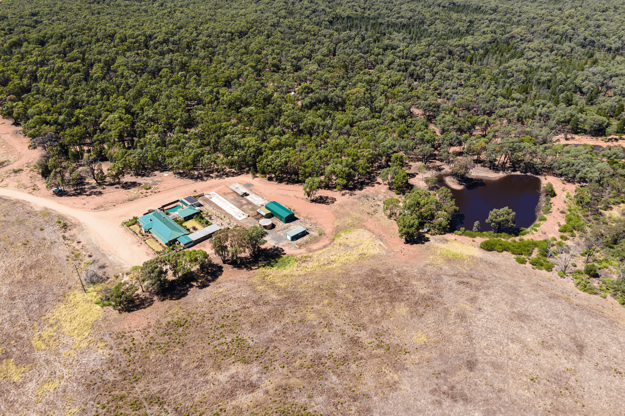 915 Thanowring Road, TEMORA, NSW 2666